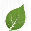 Leaf icon representing natural ingredients